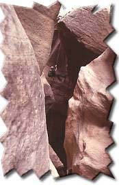 Zion Mountain Biking